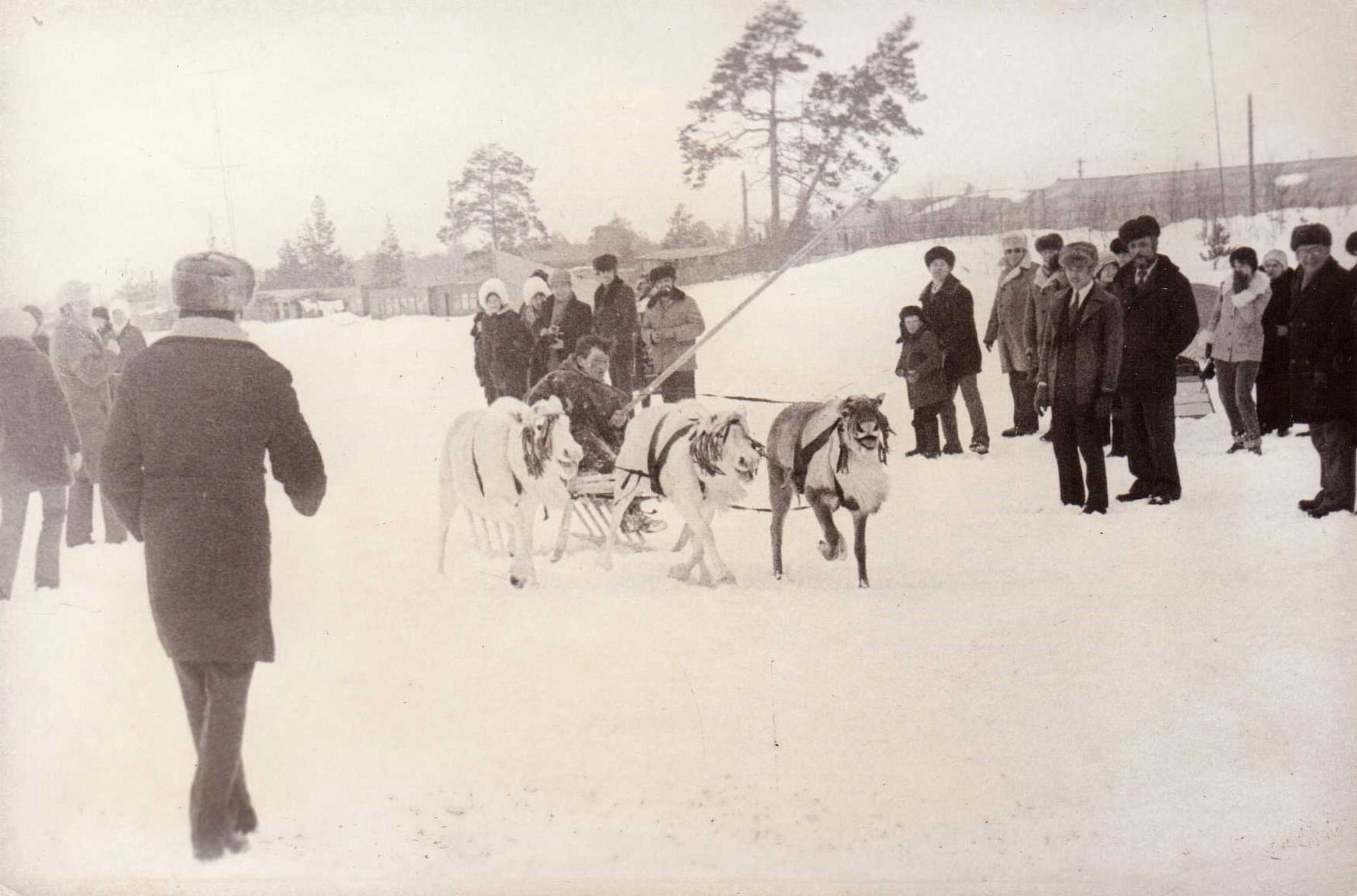 Слёт оленеводов, охотников и рыбаков